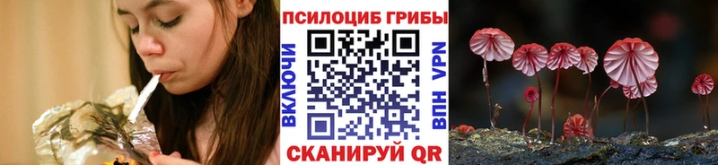 Купить где Дятьково Галлюциногенные грибы мицелий